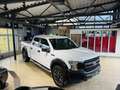 Ford F 150 XL*KAMERA*DEUTSCH*AHK*22 ZOLL LA CHANTI Alb - thumbnail 7