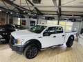 Ford F 150 XL*KAMERA*DEUTSCH*AHK*22 ZOLL LA CHANTI Alb - thumbnail 2