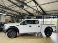 Ford F 150 XL*KAMERA*DEUTSCH*AHK*22 ZOLL LA CHANTI Alb - thumbnail 3