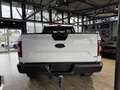 Ford F 150 XL*KAMERA*DEUTSCH*AHK*22 ZOLL LA CHANTI Alb - thumbnail 5