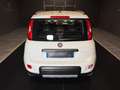 Fiat Panda 0.9 TwinAir Turbo 4x4 + GPL Weiß - thumbnail 6