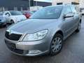 Skoda Octavia 1.9 TDI Grau - thumbnail 1