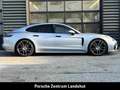 Porsche Panamera 4 Platinum Edition | Sportabgasanlage | Silber - thumbnail 7