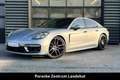 Porsche Panamera 4 Platinum Edition | Sportabgasanlage | Silber - thumbnail 1