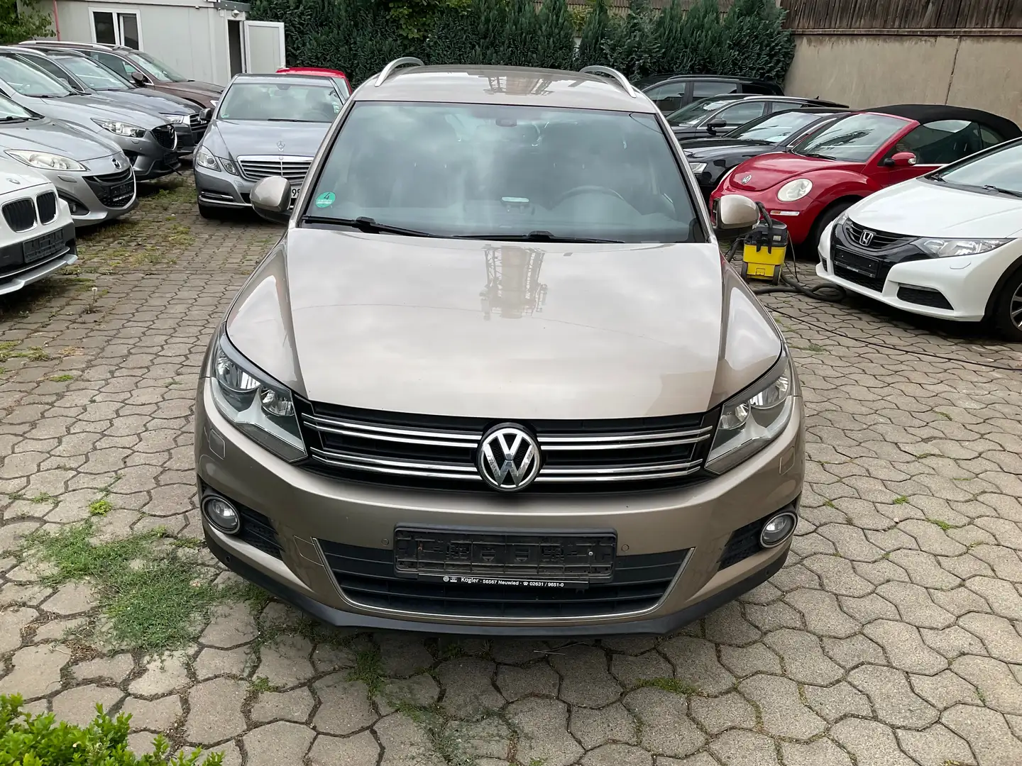 Volkswagen Tiguan 2.0 TDI DPF 4Motion Life,Navi,AHK,PDC,ALU Bej - 2