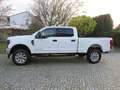 Ford F 250 F250  SD Power Diesel  Crew Cab LED Platinum Style Blanco - thumbnail 4