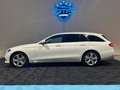 Mercedes-Benz E 400 T-Modell E  *4Matic*AHK*360Kam*HUD* Alb - thumbnail 6