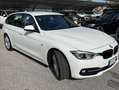 BMW 316 Serie 3 F31 2015 Touring 316d Touring Sport auto Alb - thumbnail 2