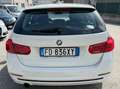 BMW 316 Serie 3 F31 2015 Touring 316d Touring Sport auto Alb - thumbnail 5