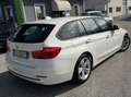 BMW 316 Serie 3 F31 2015 Touring 316d Touring Sport auto Alb - thumbnail 4