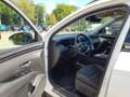 Hyundai TUCSON 1.6 Prime Mild-Hybrid 4WD Pano. AHK Weiß - thumbnail 5