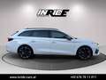 CUPRA Leon 2.0 TDI DSG *Sportsitz*Acc*Lane*Kamera* Weiß - thumbnail 5