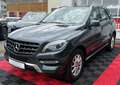 Mercedes-Benz ML 250 ML -Klasse ML 250 CDI BlueTec Grigio - thumbnail 6