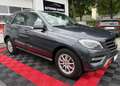 Mercedes-Benz ML 250 ML -Klasse ML 250 CDI BlueTec Grigio - thumbnail 7