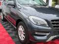 Mercedes-Benz ML 250 ML -Klasse ML 250 CDI BlueTec Grigio - thumbnail 10