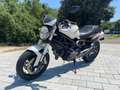 Ducati Monster 696 Blanco - thumbnail 1