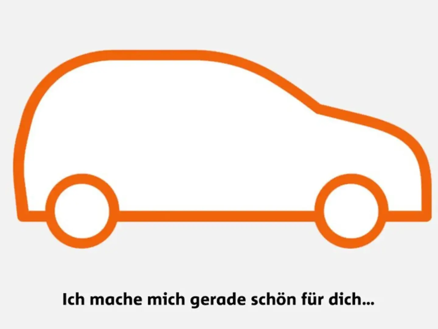 Volkswagen T-Roc Design TDI 4MOTION DSG Grau - 2