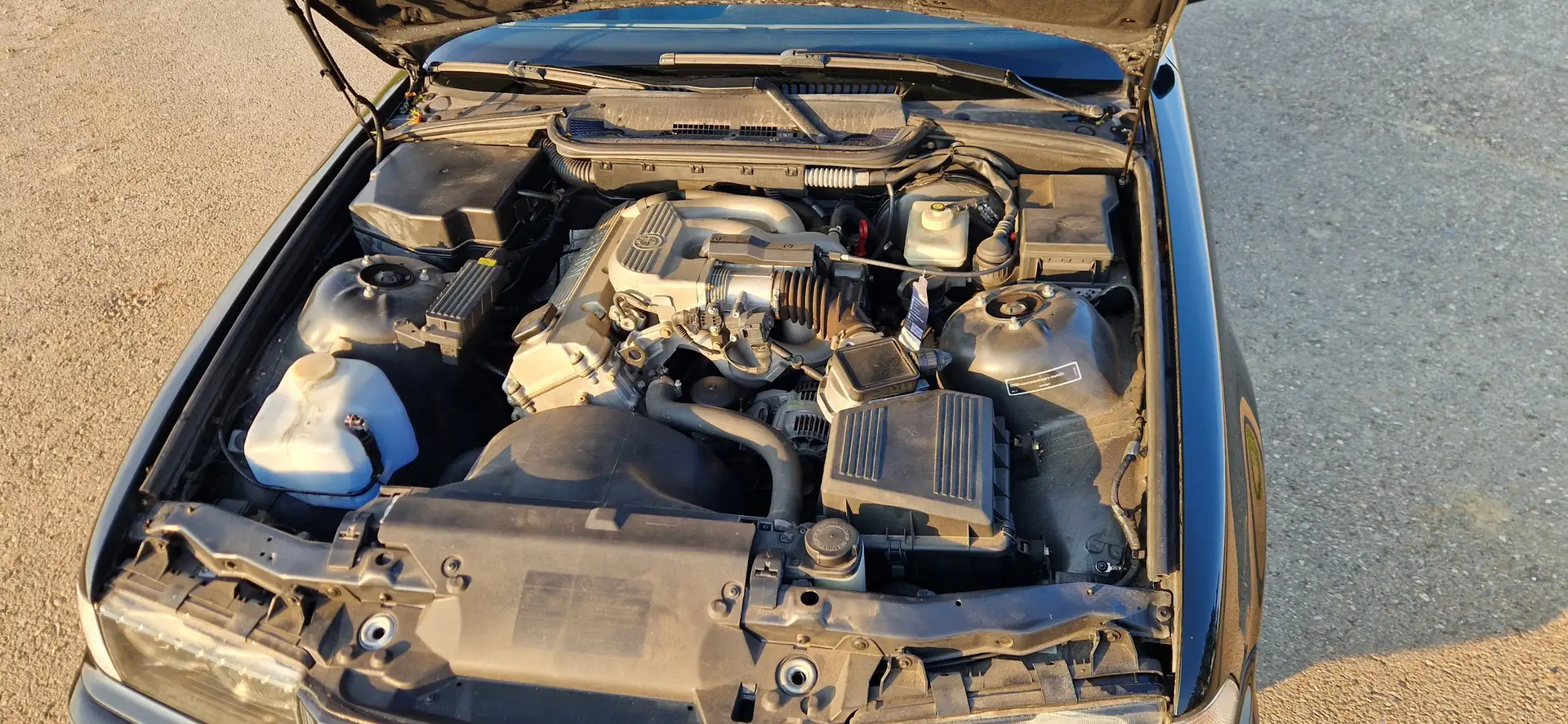 BMW 316 316iSport Edition - 2