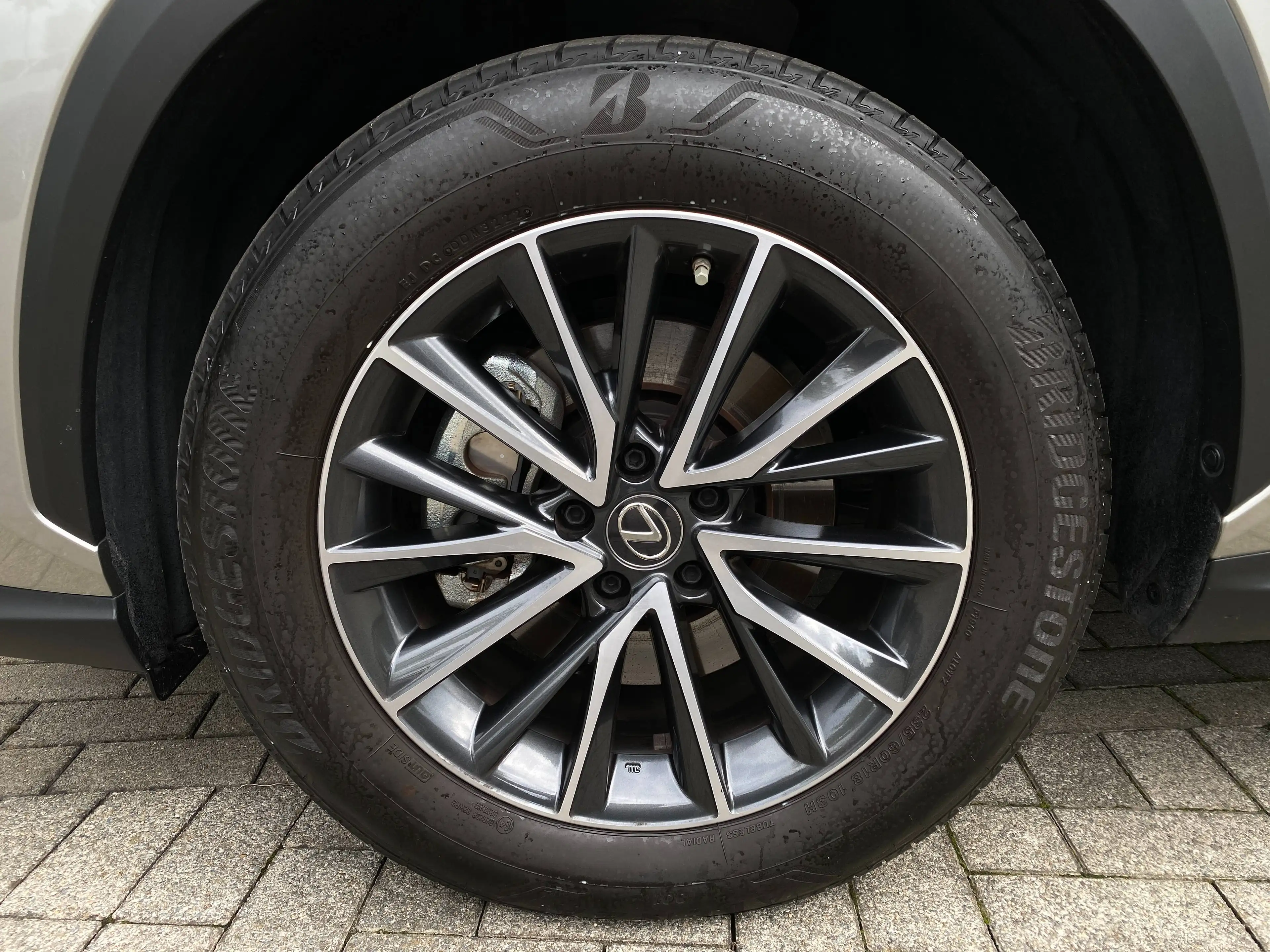 Lexus NX 350h NX 350h 2.5i AWD Executive Line E-CVT — photo 6