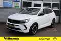 Opel Grandland 1.5 Diesel AT8 Elegance+AHK+ACC+ Blanc - thumbnail 1
