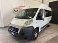 Fiat Ducato Bianco - thumbnail 2