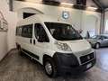 Fiat Ducato Bianco - thumbnail 3