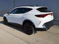 CUPRA Formentor 2.0TSI DSG 4Drive ABT Matrix AHK Pano Navi 360 Weiß - thumbnail 2