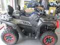 Segway Gris - thumbnail 2