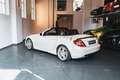Mercedes-Benz SLK 55 AMG SLK55 AMG *PERFORMANCE / DESIGNO / FACELIFT* Bianco - thumbnail 6