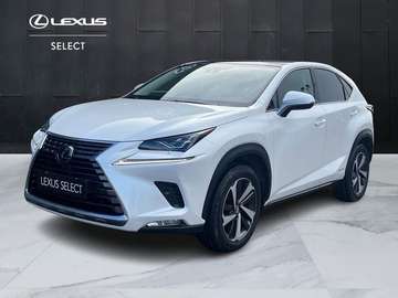 300h 2.5 Luxury 4wd cvt IVA ESPOSTA
