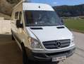 Mercedes-Benz Sprinter Sprinter 315 CDI 3,5 t / 3.665 mm Weiß - thumbnail 17