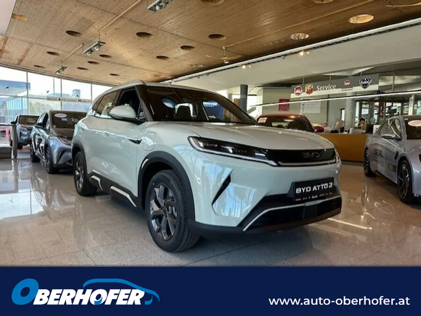 BYD Atto 2 Atto2 45,12 kWh Active Österreich Paket Grün - 1