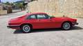 Jaguar XJS XJS 3.6 Rojo - thumbnail 8
