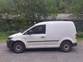 Volkswagen Caddy Caddy Kastenwagen Entry+ 1,6 TDI DPF Weiß - thumbnail 2