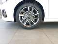 Hyundai i30 i30 FL MY25 1.0 Turbo DCT Advantage Klimaaut. Weiß - thumbnail 10