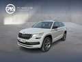 Skoda Kodiaq SportLine TDI DSG Grau - thumbnail 1
