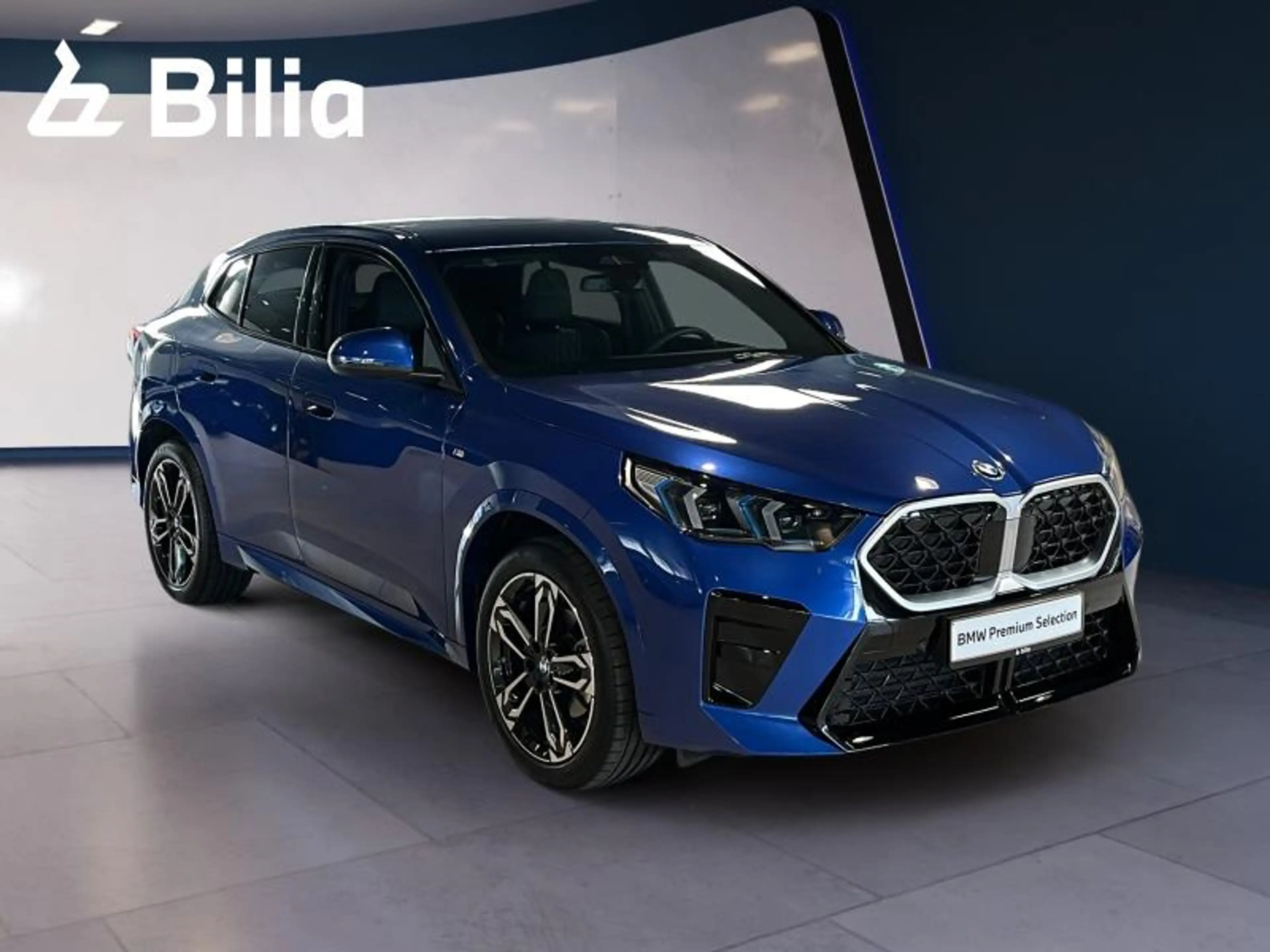 BMW X2 X2 xDrive20d M Sport — photo 10