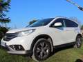 Honda CR-V CR-V 2.2  i-DTEC 4WD Executive Navi Blanc - thumbnail 3