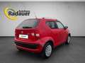 Suzuki Ignis 1,2 DualJet Shine 4WD Rot - thumbnail 5