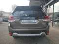 Subaru Forester Forester 2.0ie Platinum e-BOXER Or - thumbnail 6