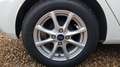 Ford Fiesta VI 1.0 SCTi EcoBoost DCT7 Connect Business Blanc - thumbnail 16