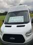 Ford Transit Bus 2,2 TDCi Allrad Fehér - thumbnail 6