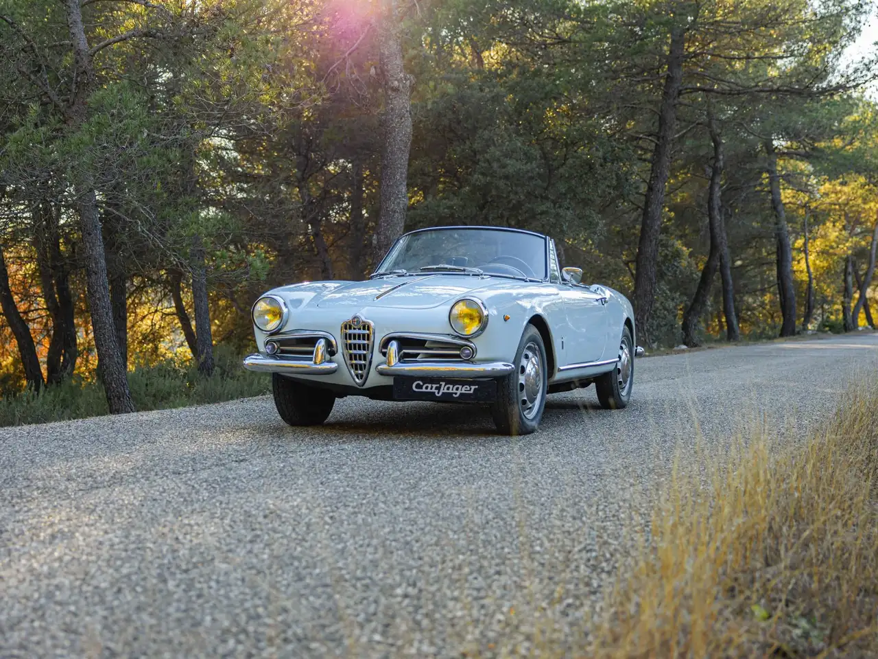 Alfa Romeo Giulietta Spider Veloce, foto 10