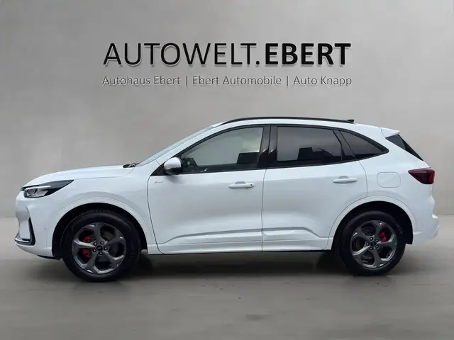 Ford Kuga view 2