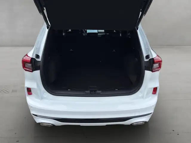Ford Kuga view 15