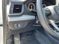 Audi Q5 40 2.0 TDI quattro S-line s-tronic Navi AHK Weiß - thumbnail 13