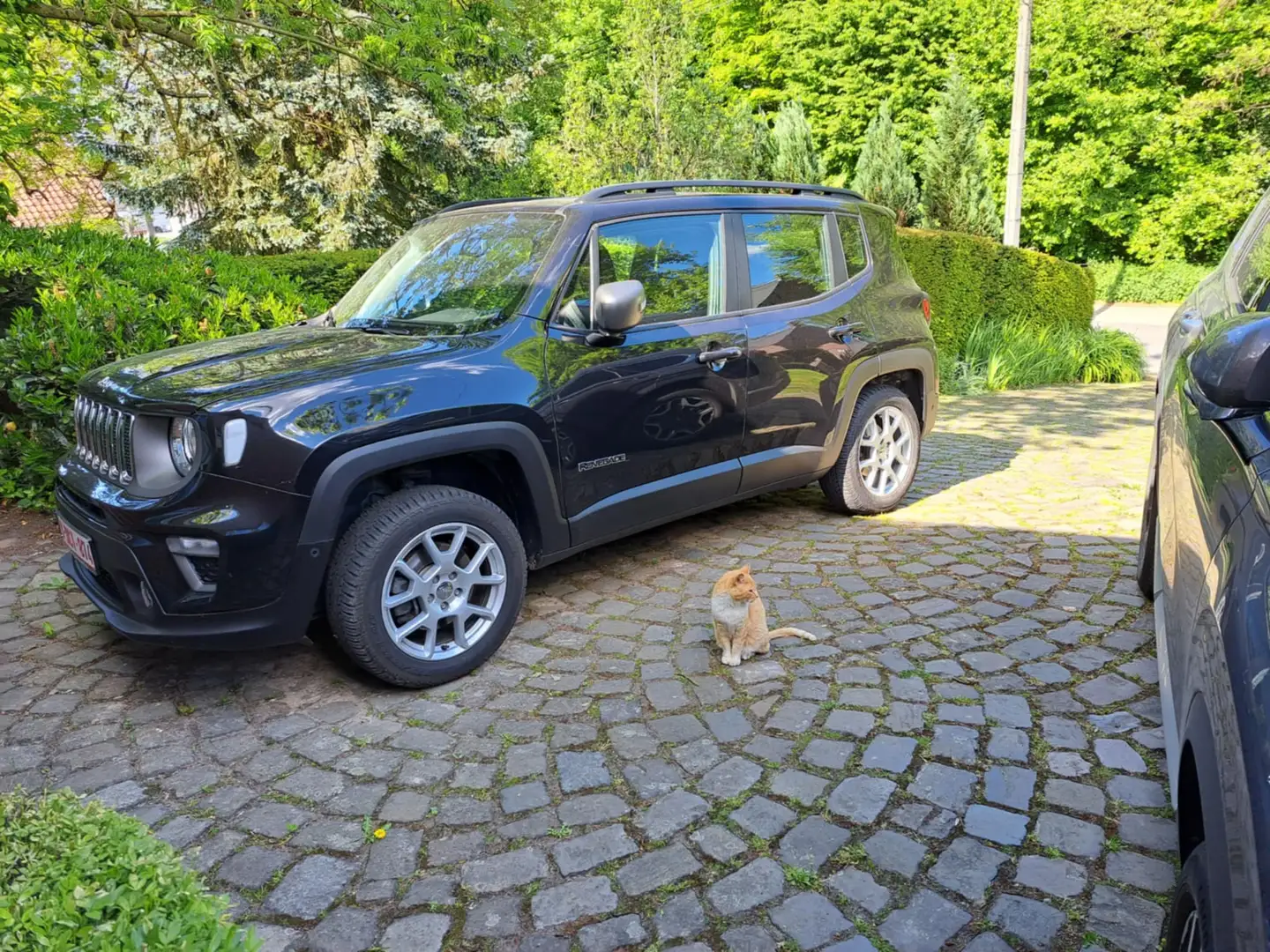 Jeep Renegade Renegade 2.0 MJD 4x4 Limited AdBlue Zwart - 1