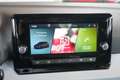 SEAT Ibiza Reference 1.0 TSI 95PS Grau - thumbnail 10