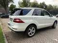 Mercedes-Benz ML 350 ML 350 BlueTEC 4MATIC 7G-TRONIC Weiß - thumbnail 6