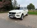 Mercedes-Benz ML 350 ML 350 BlueTEC 4MATIC 7G-TRONIC Weiß - thumbnail 2